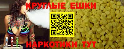 дмт Славгород