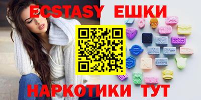 дмт Славгород