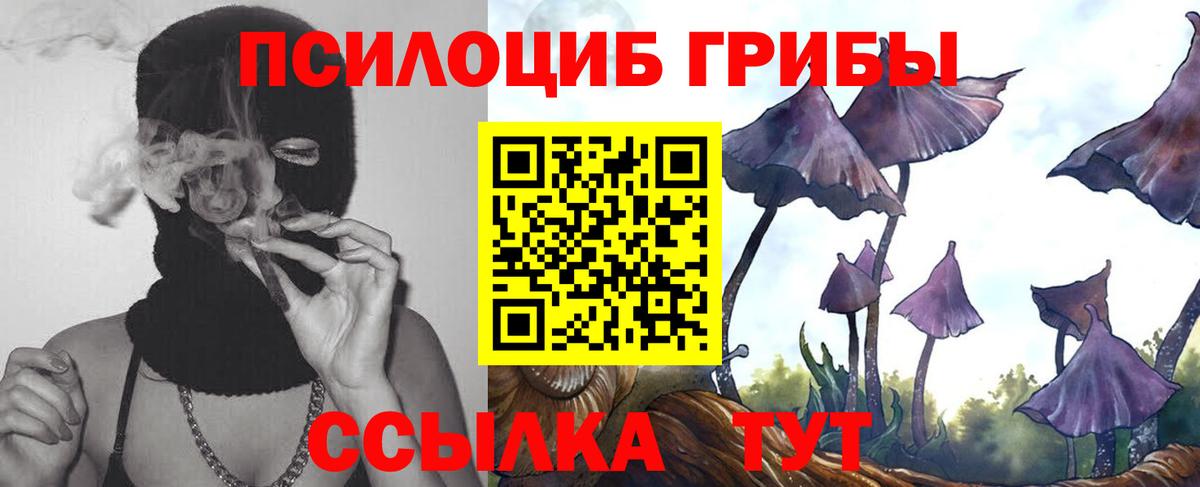 Псилоцибиновые грибы GOLDEN TEACHER Майский